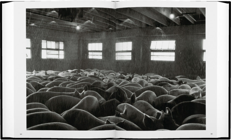 Sebastião Salgado: Workers