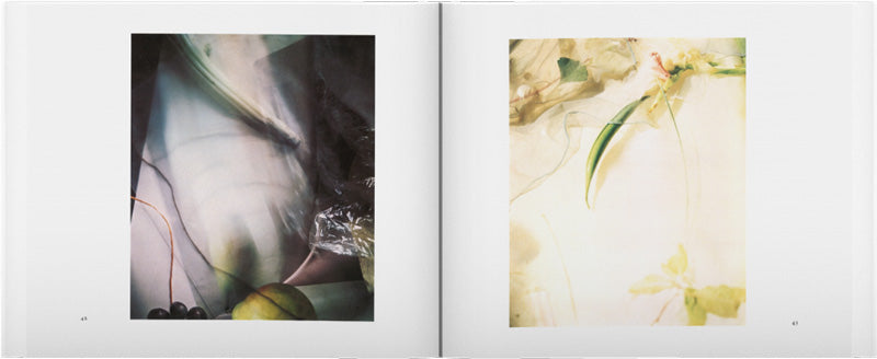 Sally Mann: Still Time