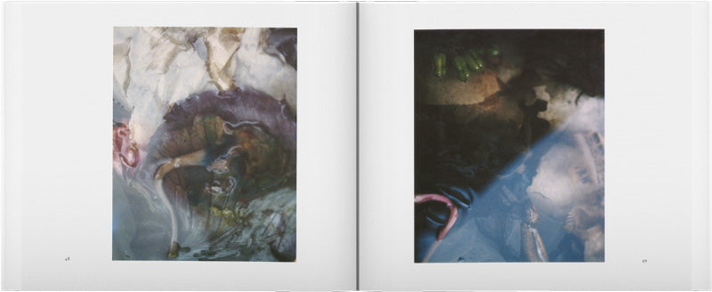 Sally Mann: Still Time