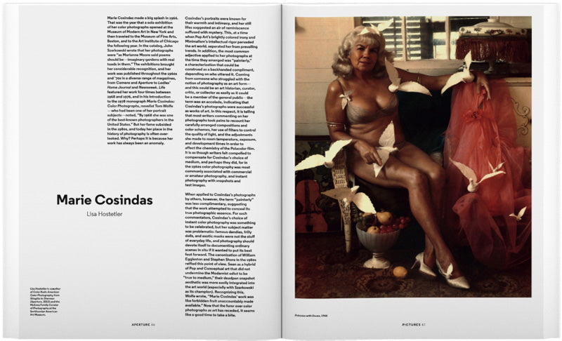 Photography as you don’t know it: Aperture 213, Winter 2013