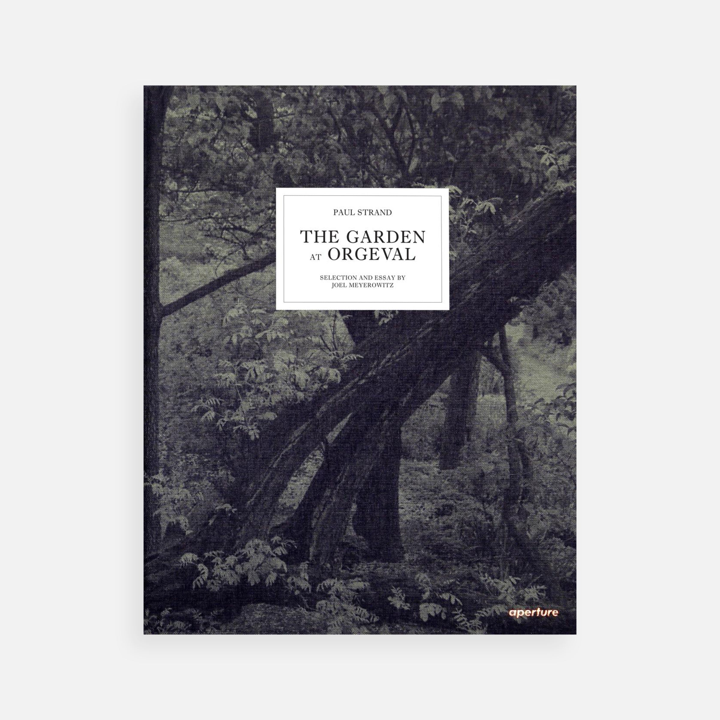 Paul Strand: The Garden at Orgeval