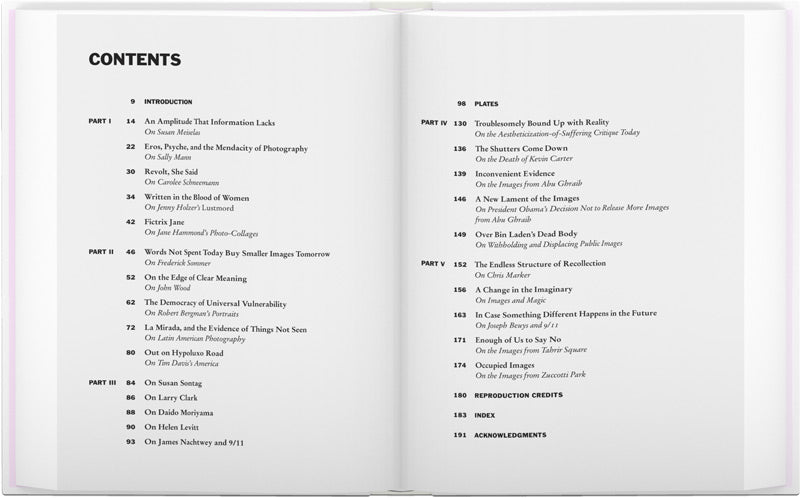 David Levi Strauss: Words Not Spent Today Buy Smaller Images Tomorrow