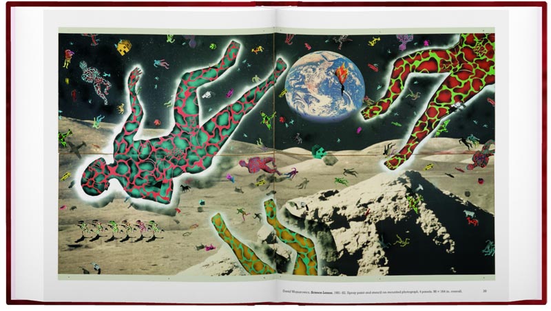 David Wojnarowicz: Brush Fires in the Social Landscape