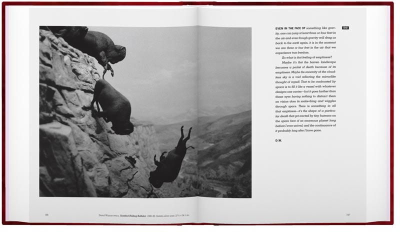David Wojnarowicz: Brush Fires in the Social Landscape