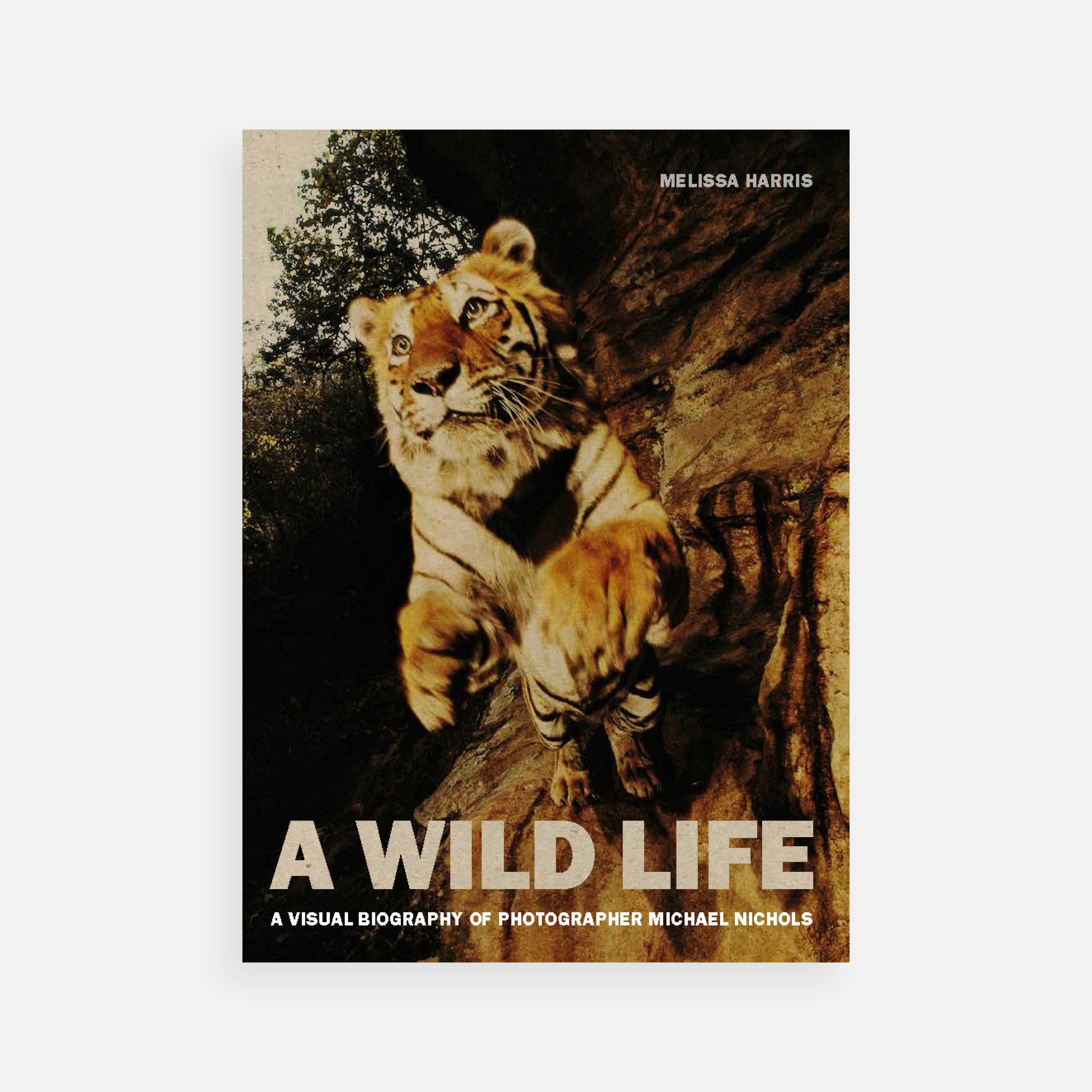 A Wild Life: A Visual Biography of Photographer Michael Nichols
