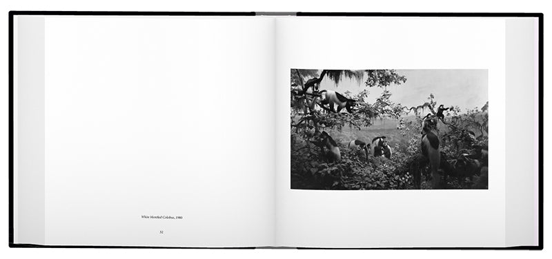 Hiroshi Sugimoto: Black Box