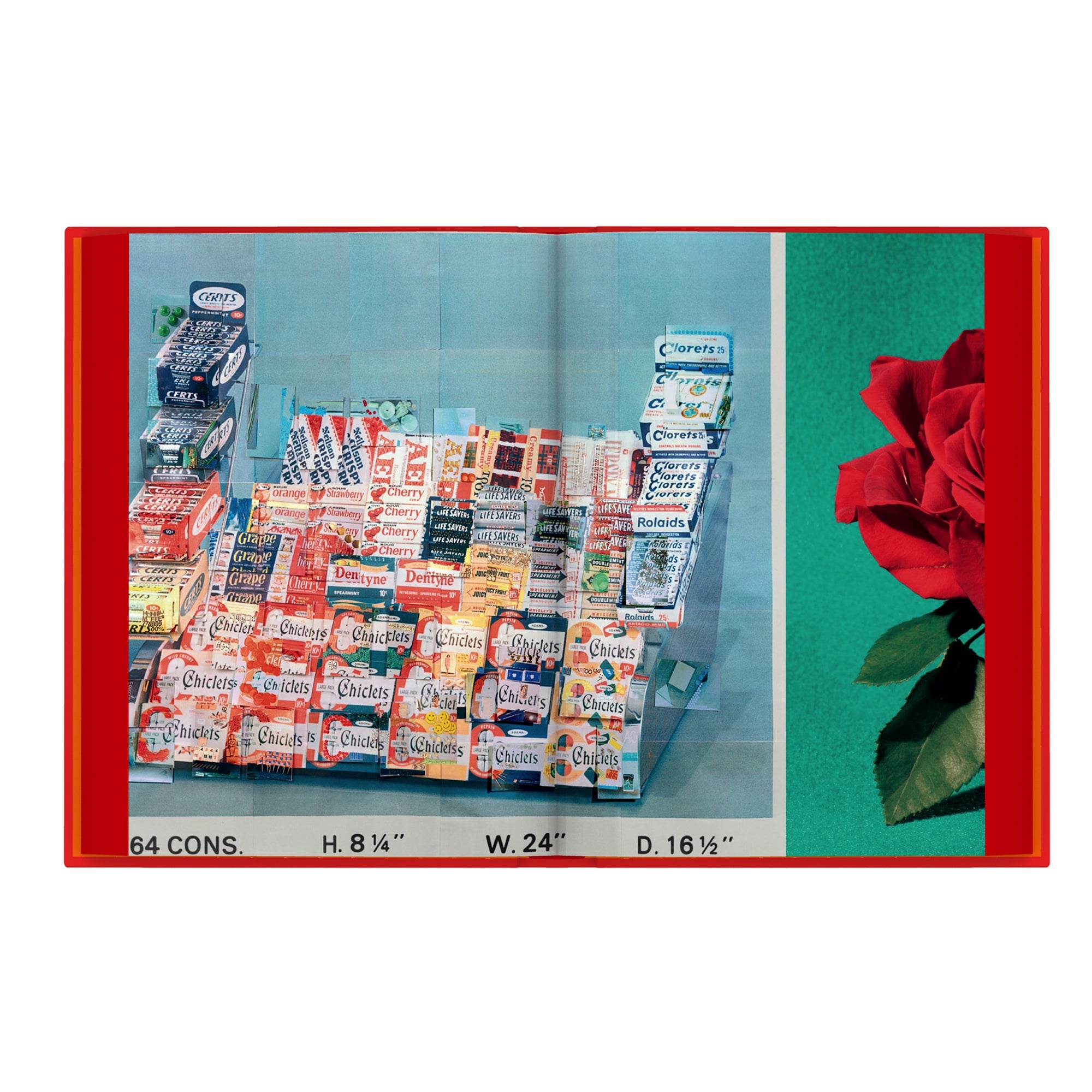 Sara Cwynar: Glass Life