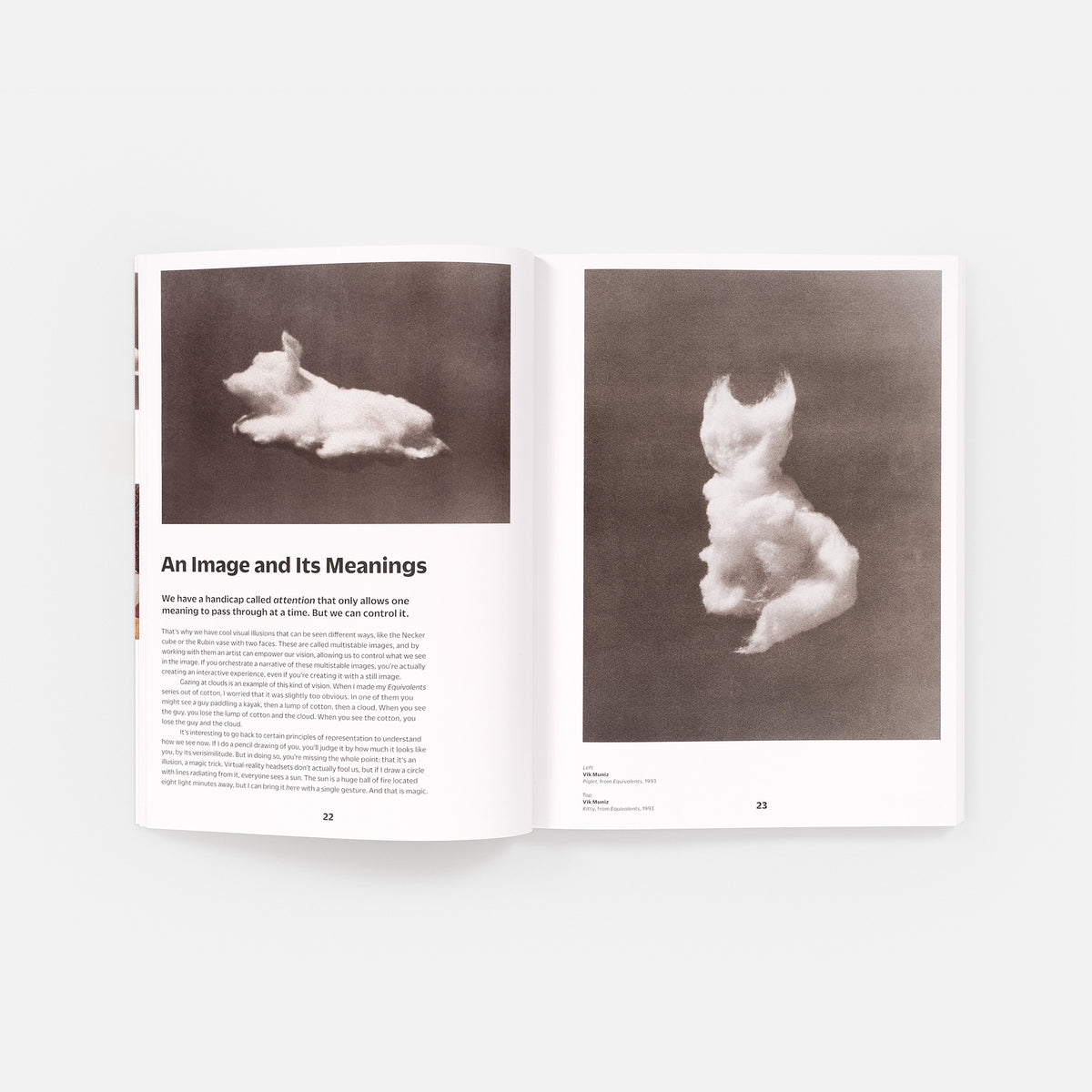 Vik Muniz on Photography, Mind, and Matter (signed edition)