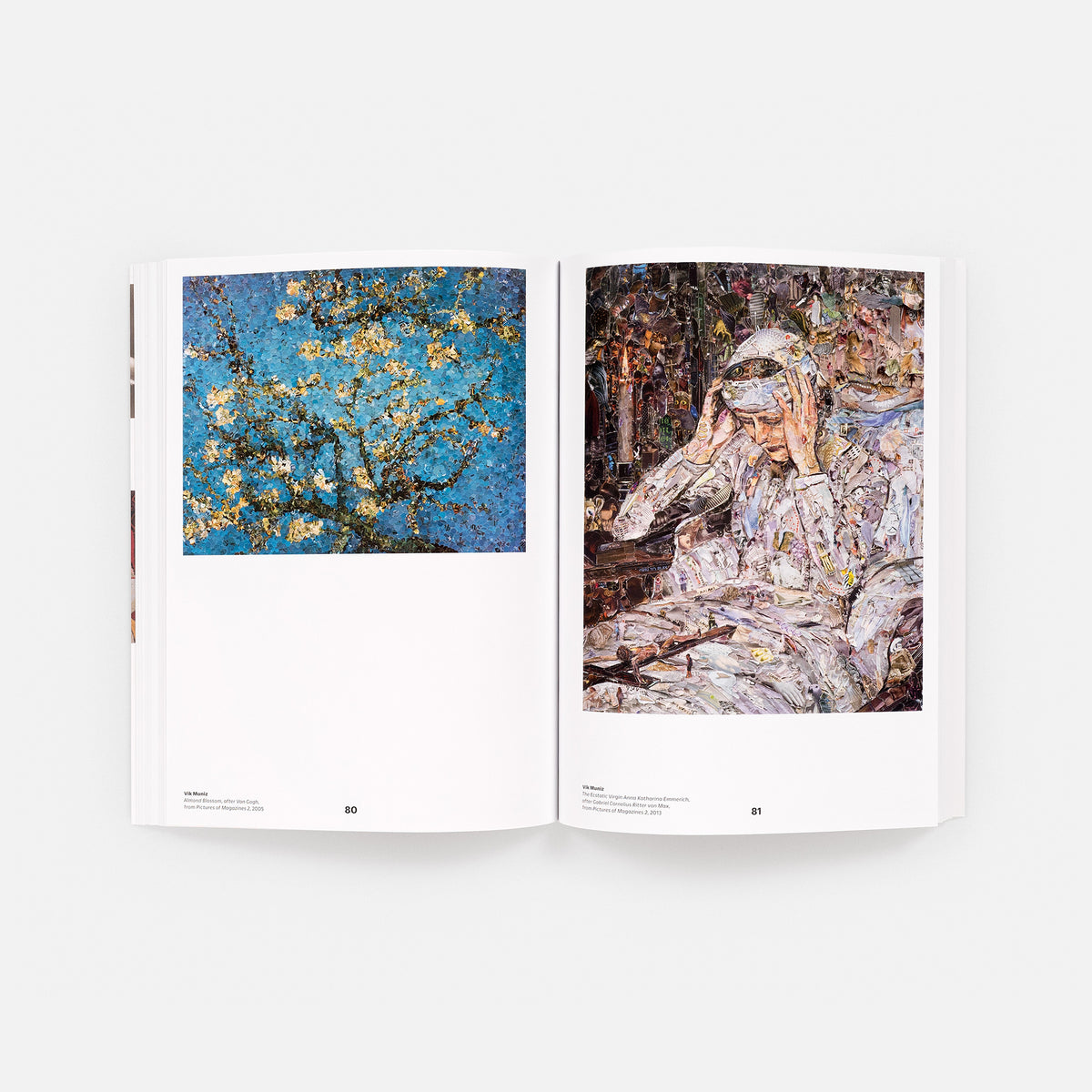 Vik Muniz on Photography, Mind, and Matter (signed edition)