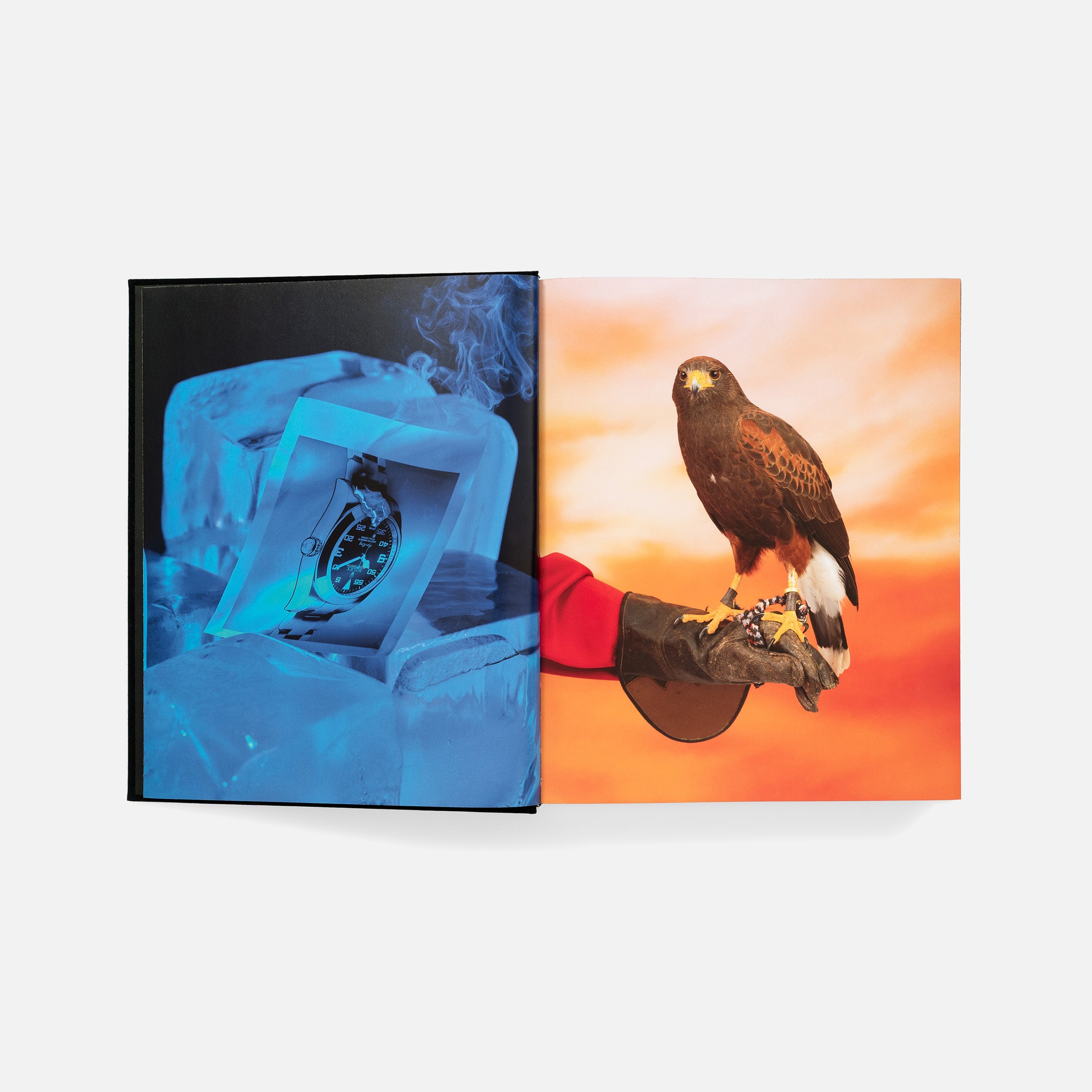 Awol Erizku: Mystic Parallax (signed edition)