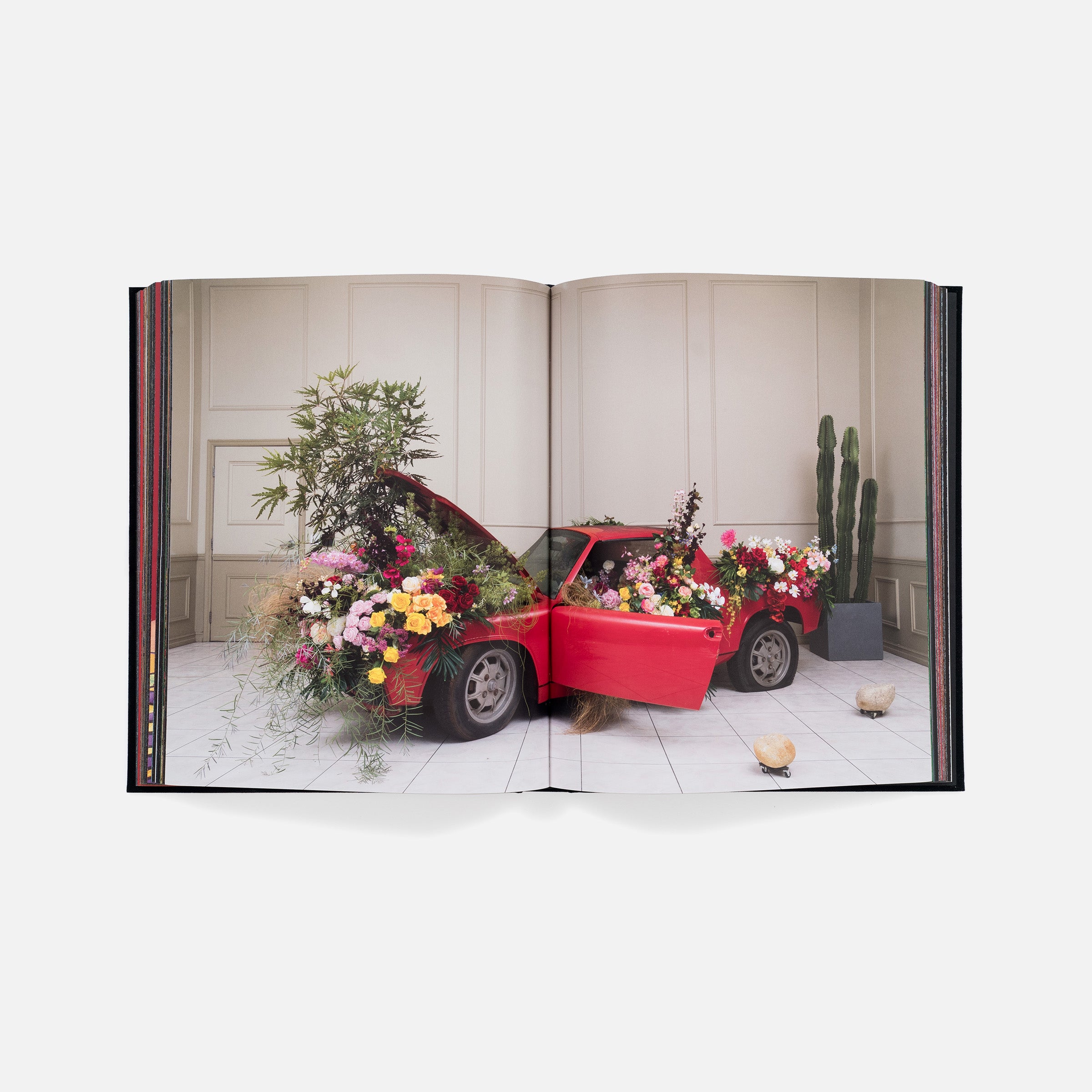 Awol Erizku: Mystic Parallax (signed edition)