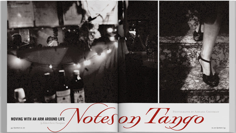 Aperture 171, Summer 2003