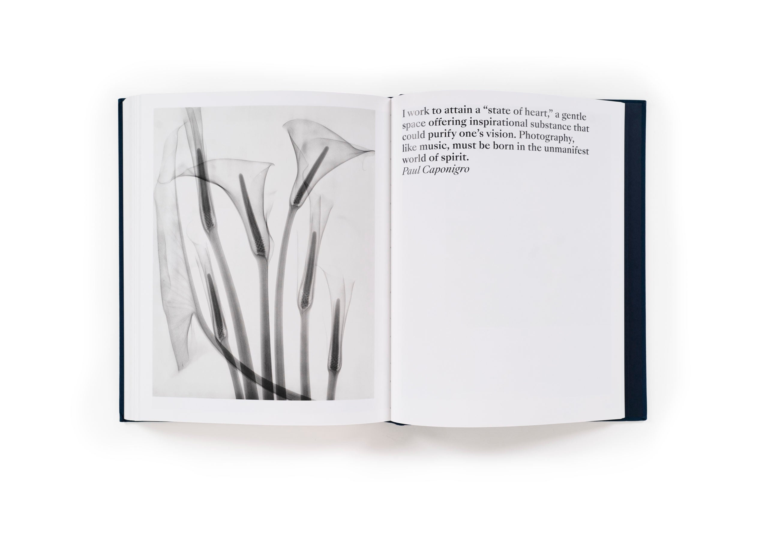 Presence: The Photography Collection of Judy Glickman Lauder