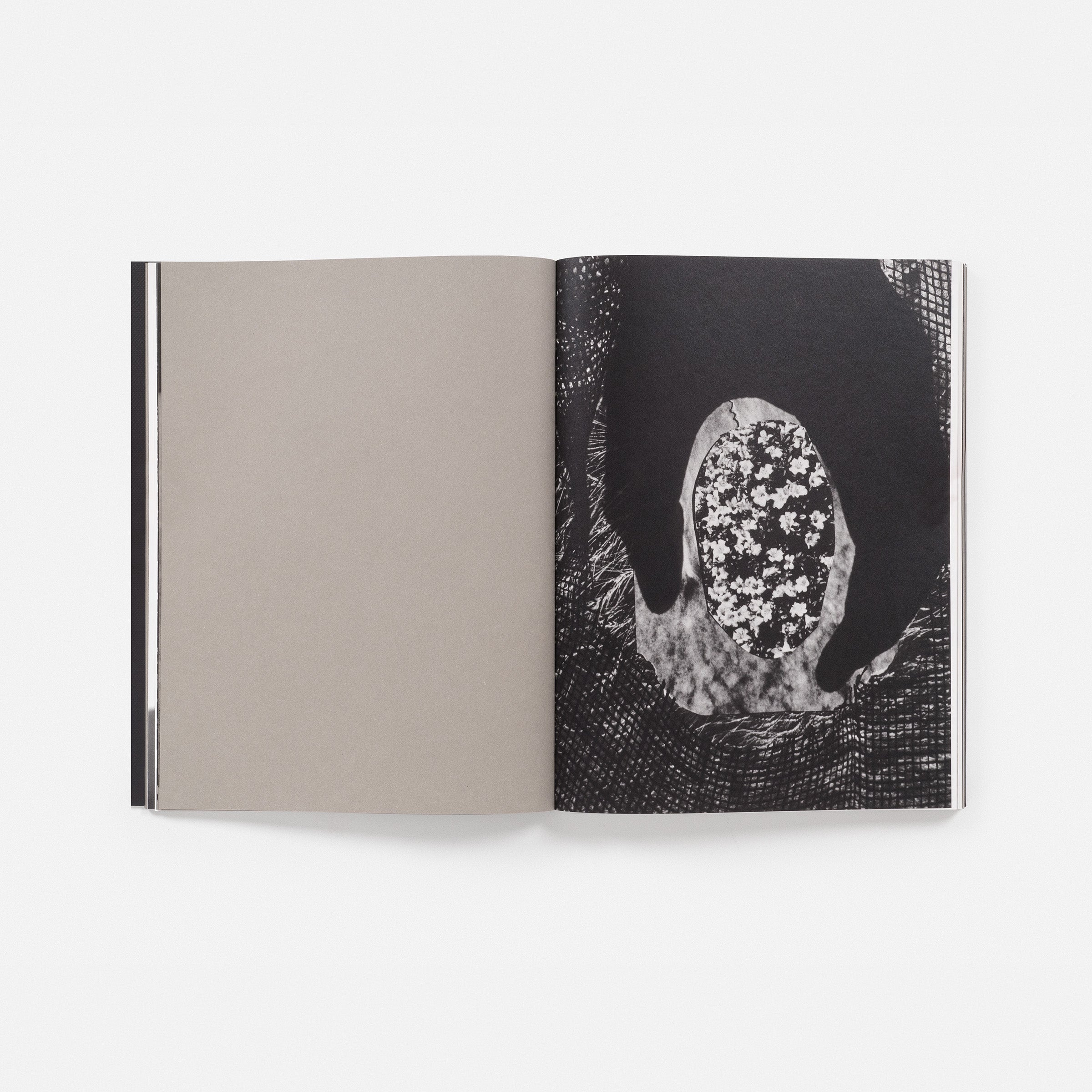 Dionne Lee: Currents