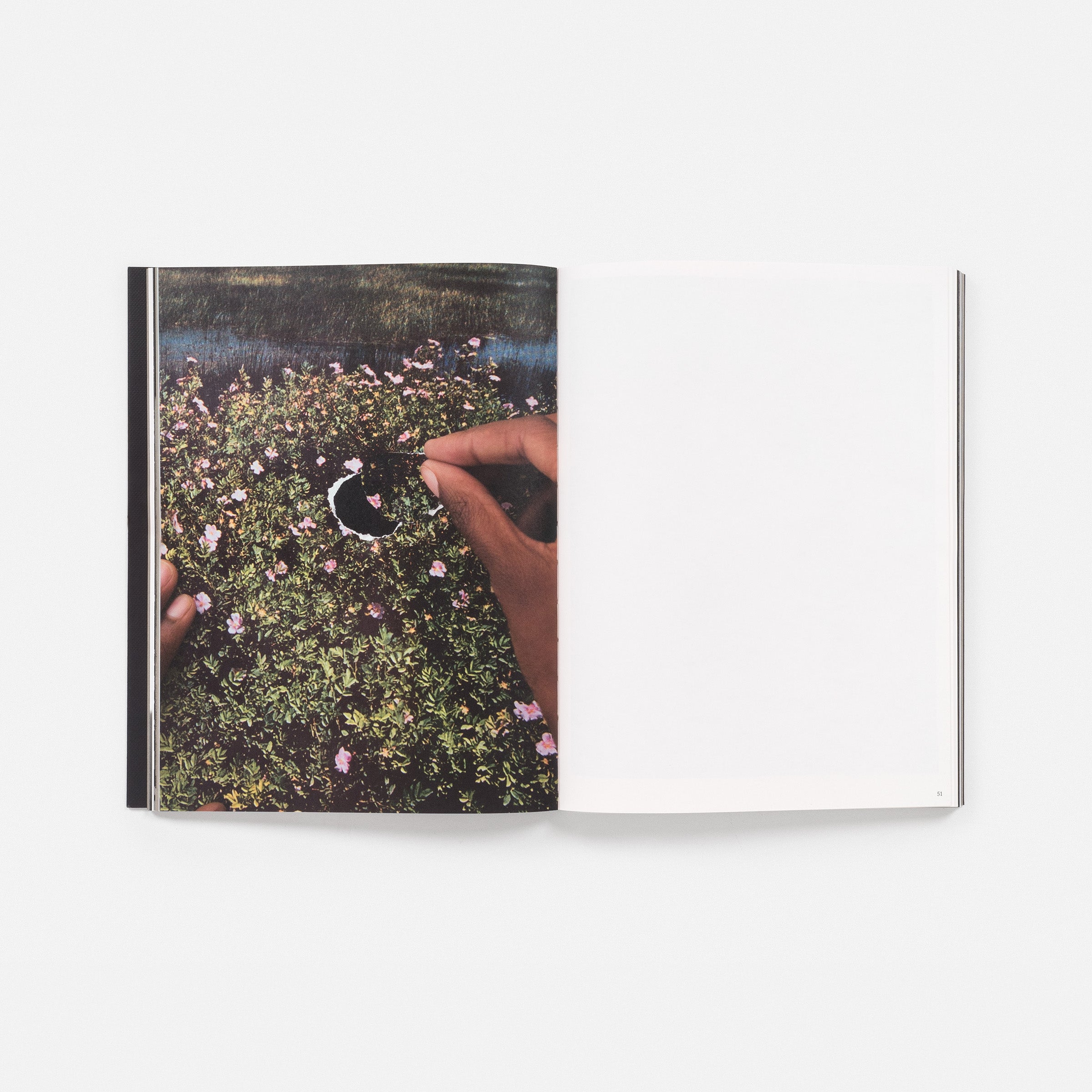 Dionne Lee: Currents