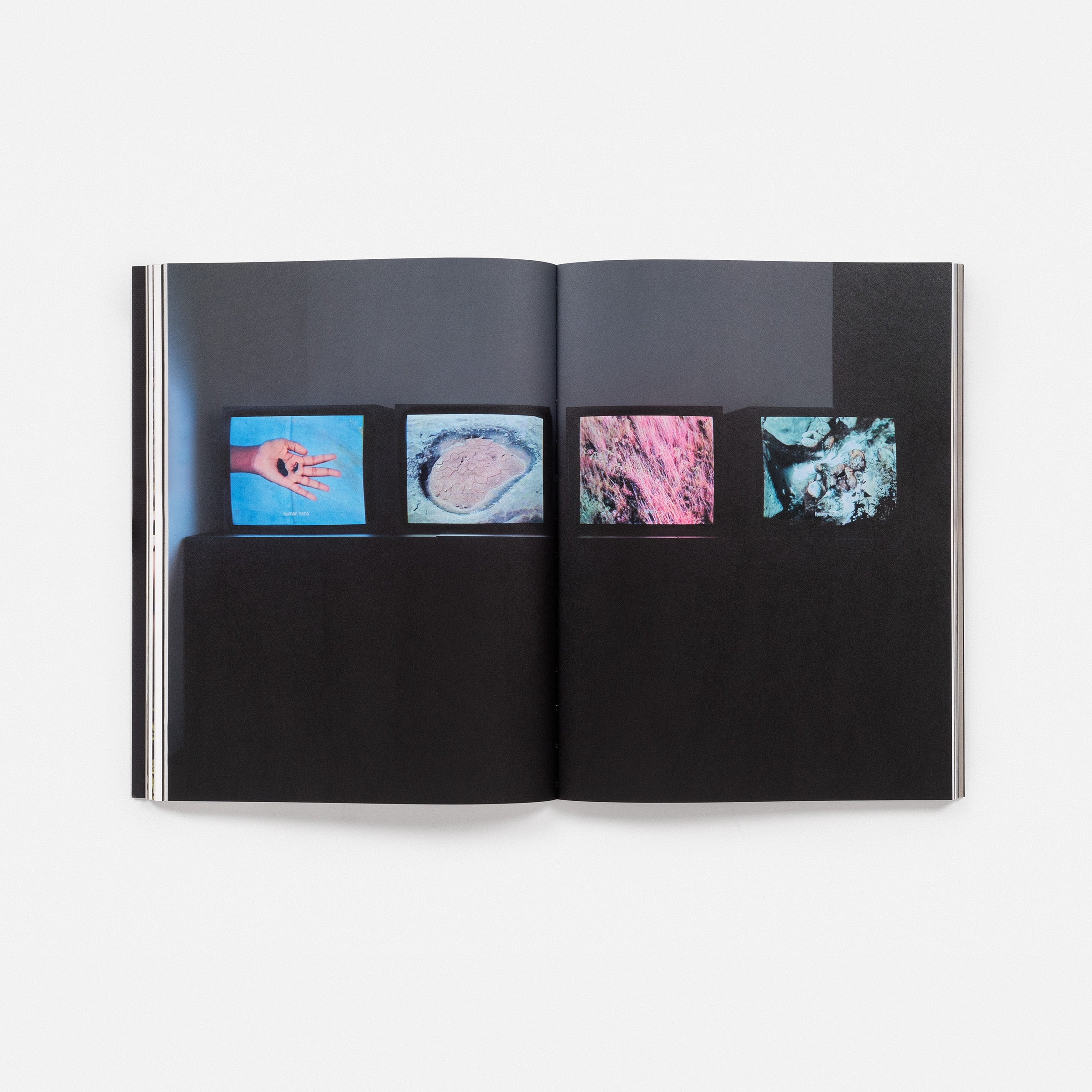 Dionne Lee: Currents