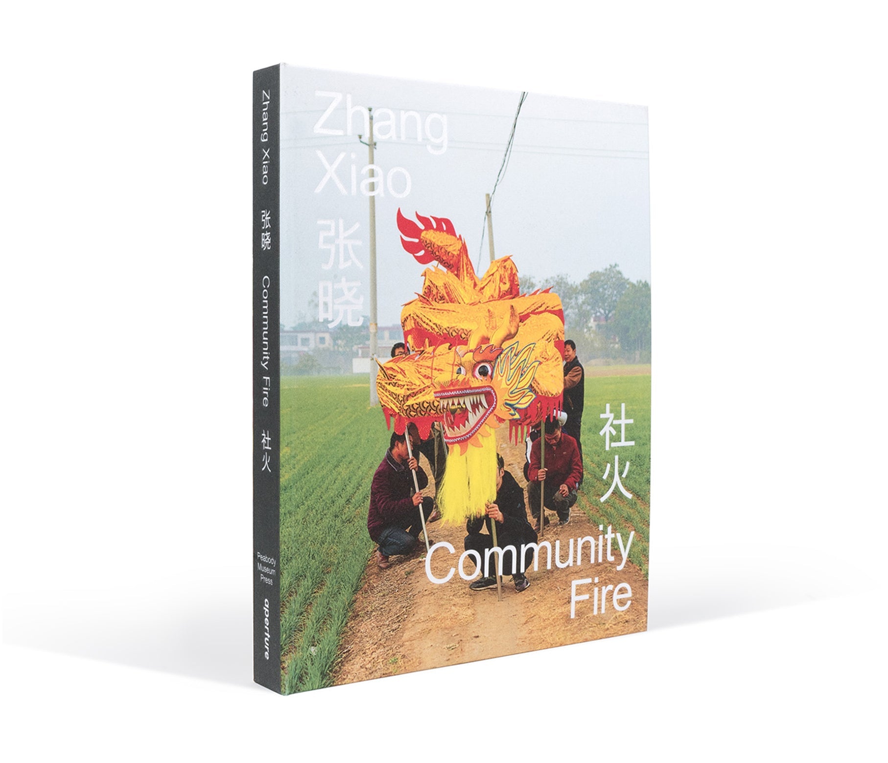 Zhang Xiao: Community Fire