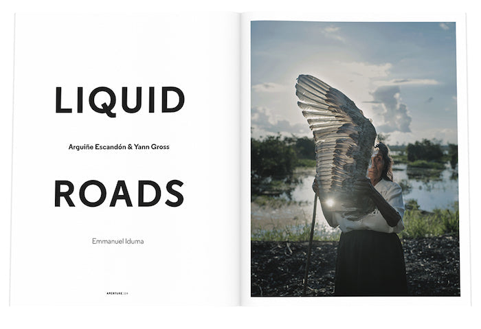 Earth: Aperture 234, Spring 2019