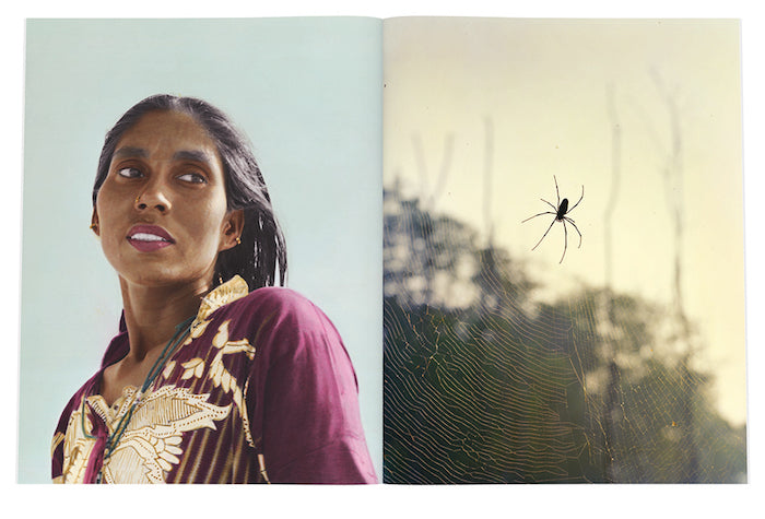 Earth: Aperture 234, Spring 2019