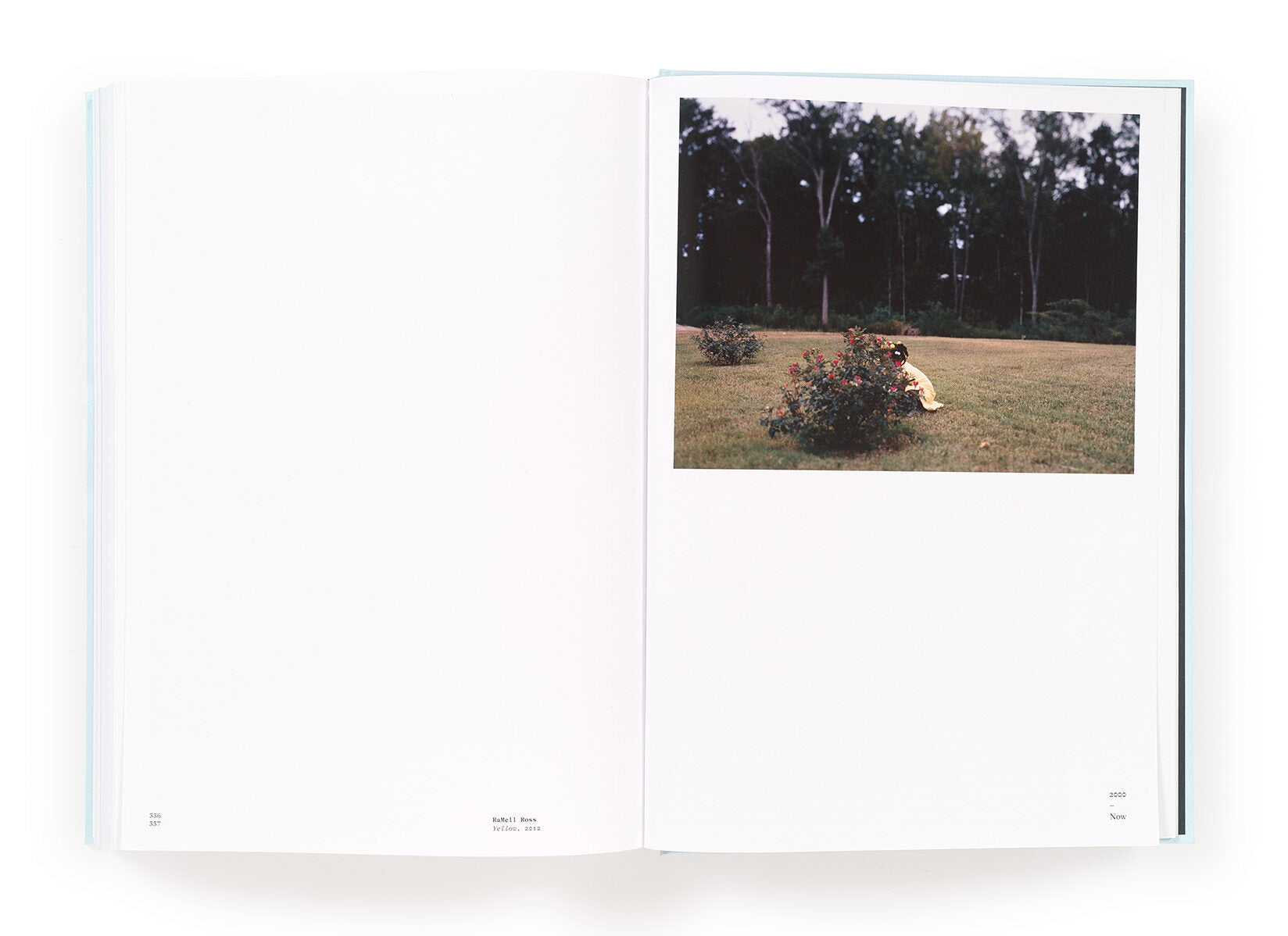 A Long Arc: Photography and the American South