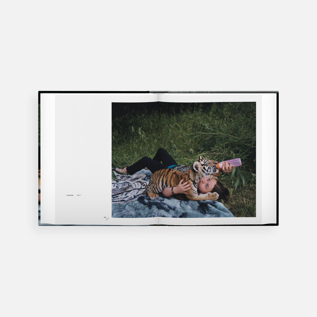 Robin Schwartz: Amelia and the Animals (signed edition)