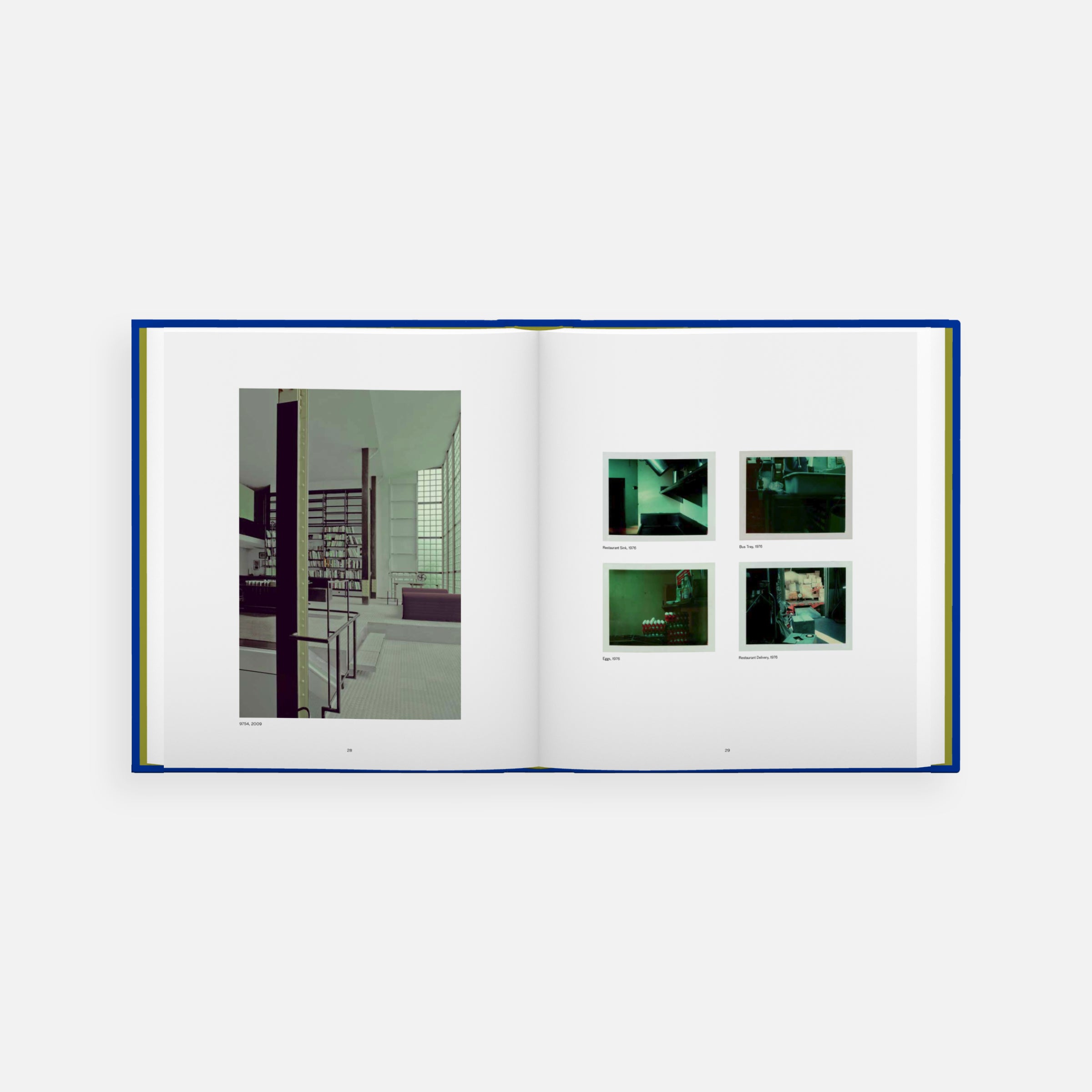 James Welling: Monograph