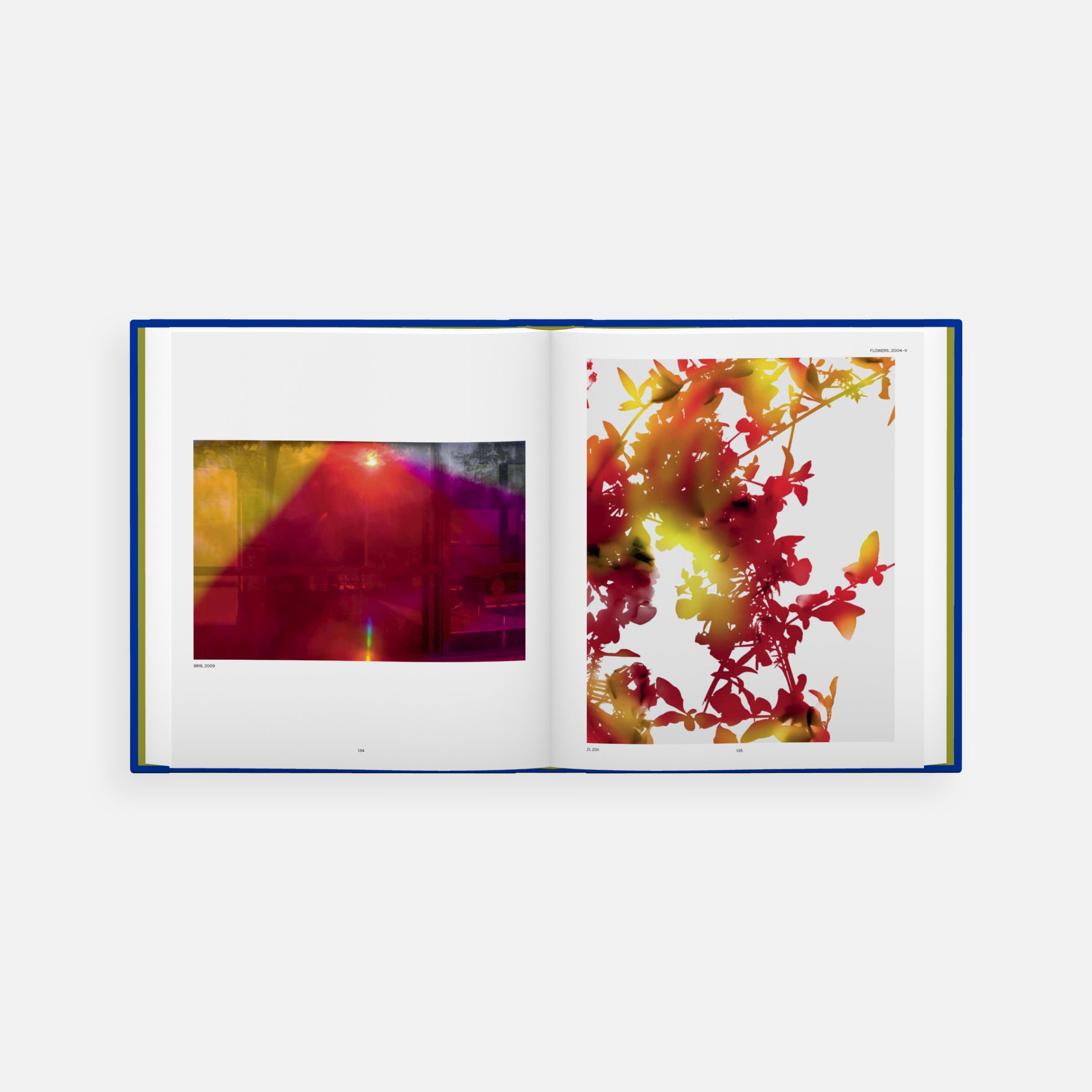 James Welling: Monograph