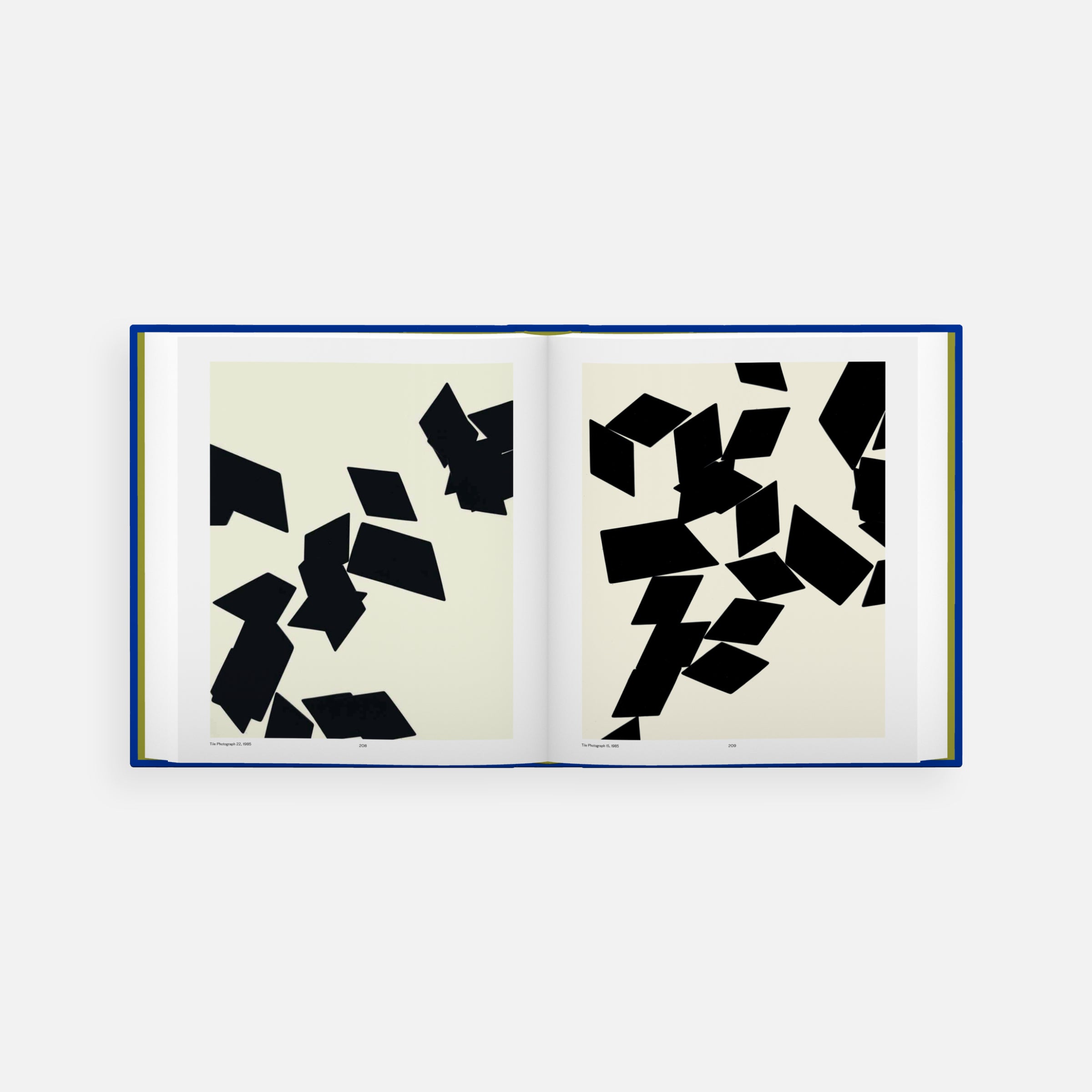 James Welling: Monograph