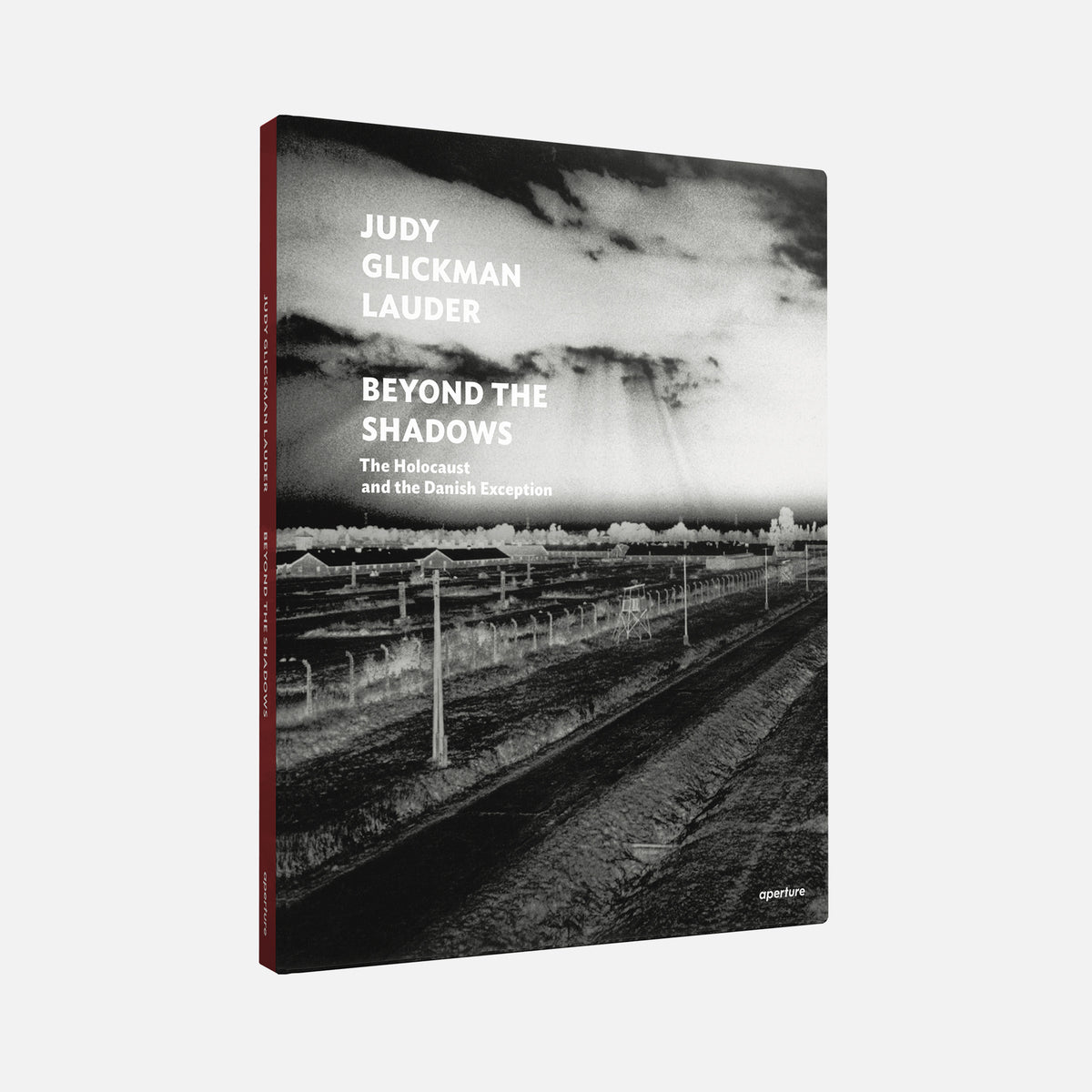 Judy Glickman Lauder: Beyond the Shadows (signed edition)