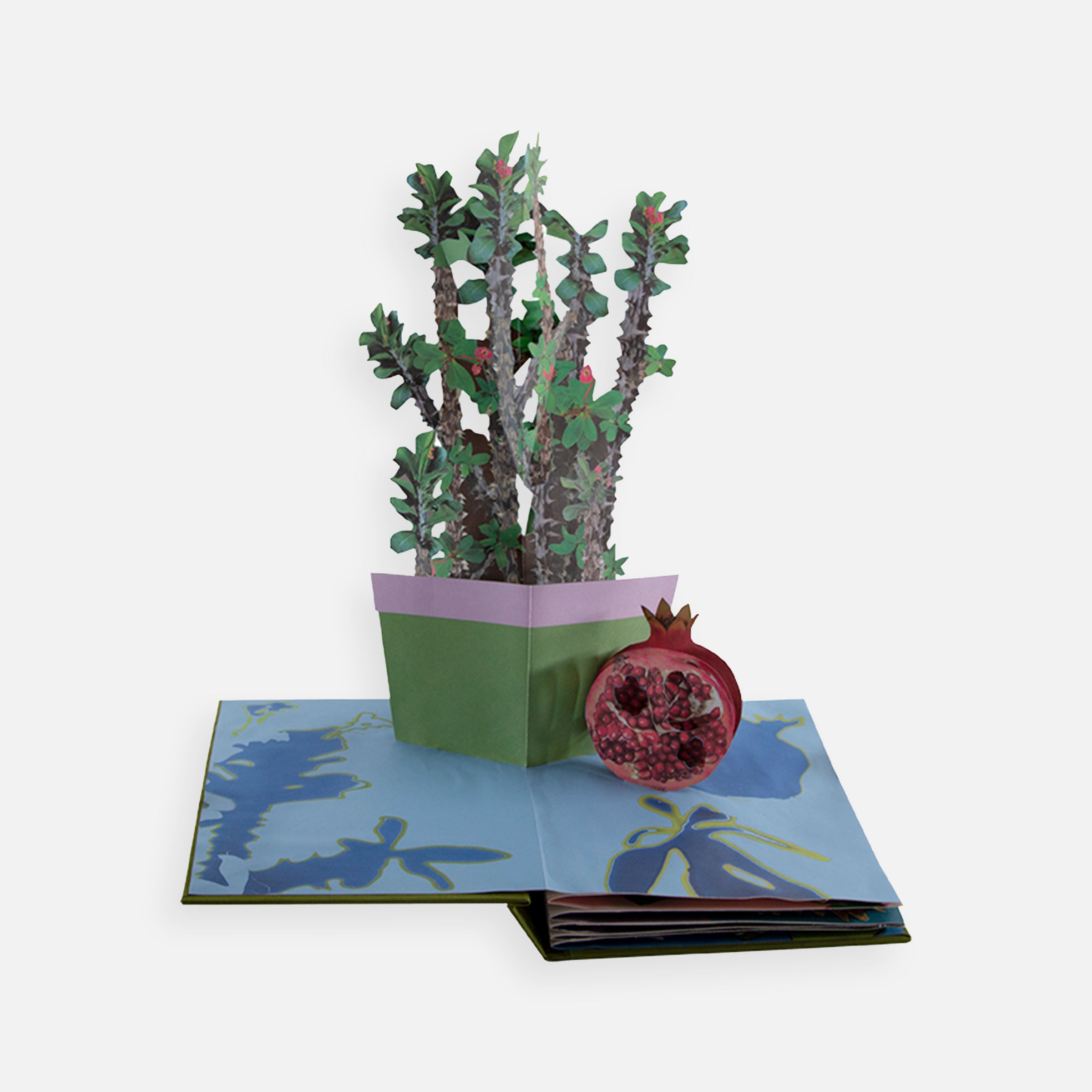 Daniel Gordon: Houseplants