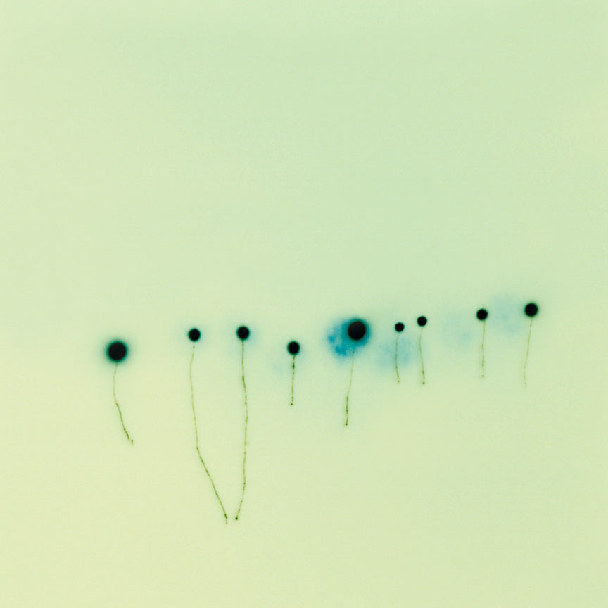 The Edge of Vision Limited-Edition Portfolio