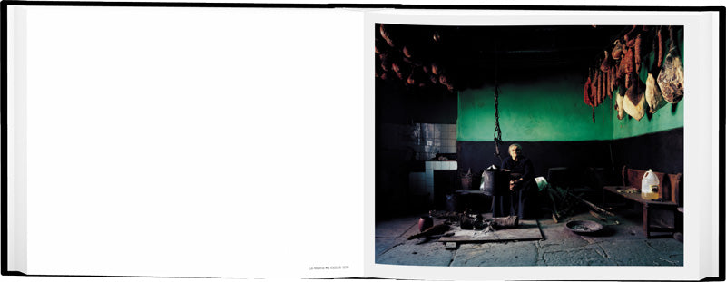 Domestic Landscapes