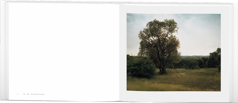 Beate Gütschow: LS/S