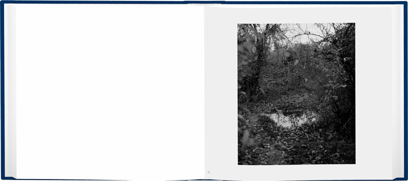 John Gossage: The Pond