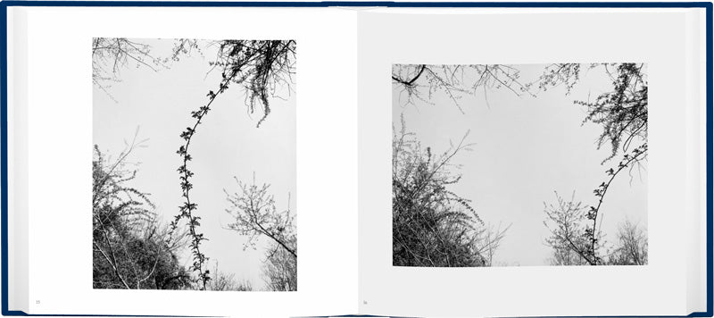 John Gossage: The Pond