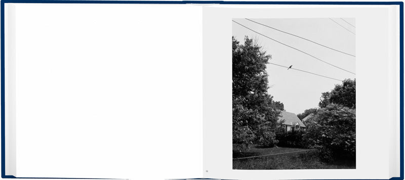 John Gossage: The Pond