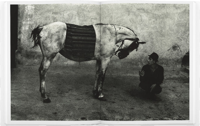 Josef Koudelka: Gypsies