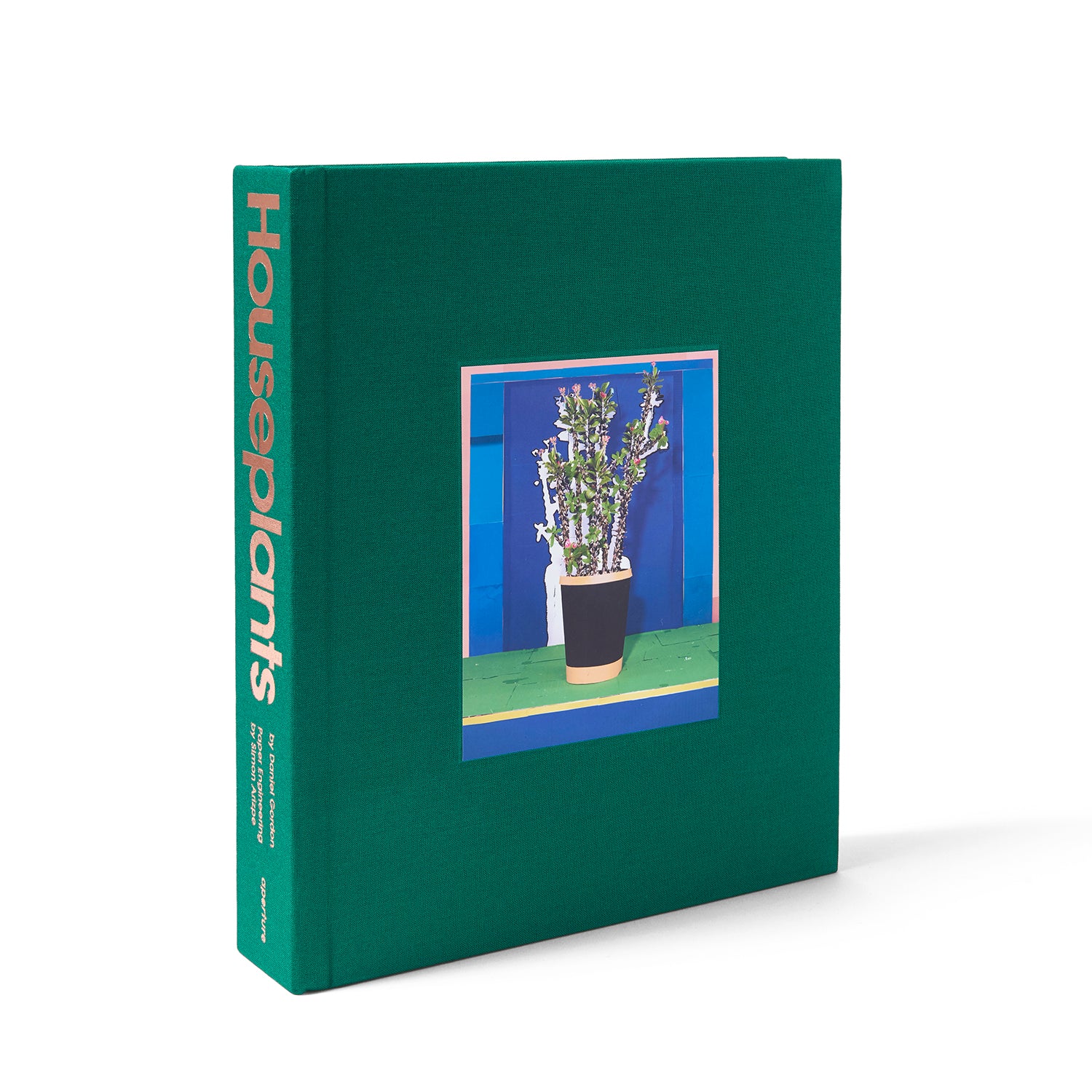 Daniel Gordon: Houseplants