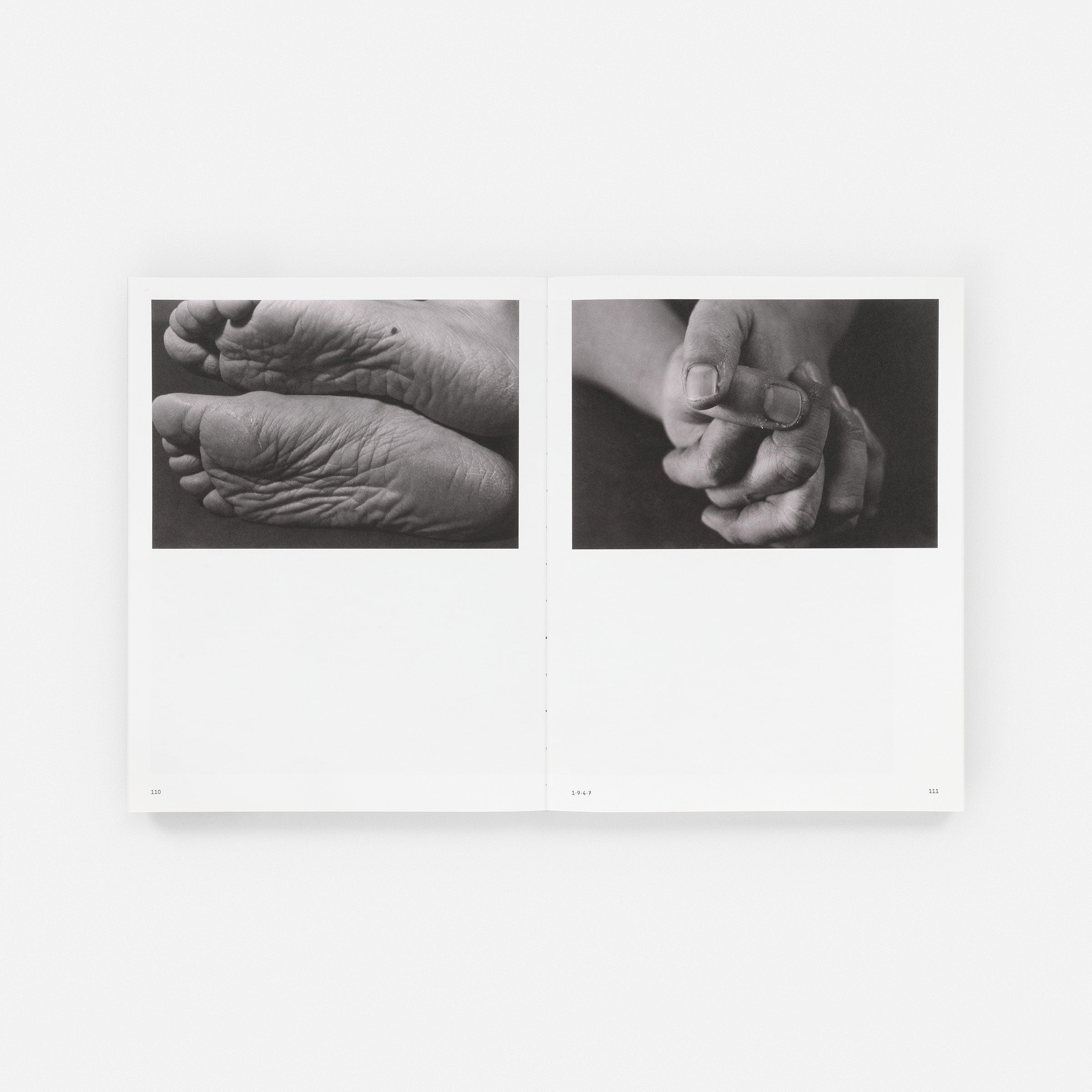 Ishiuchi Miyako: Traces