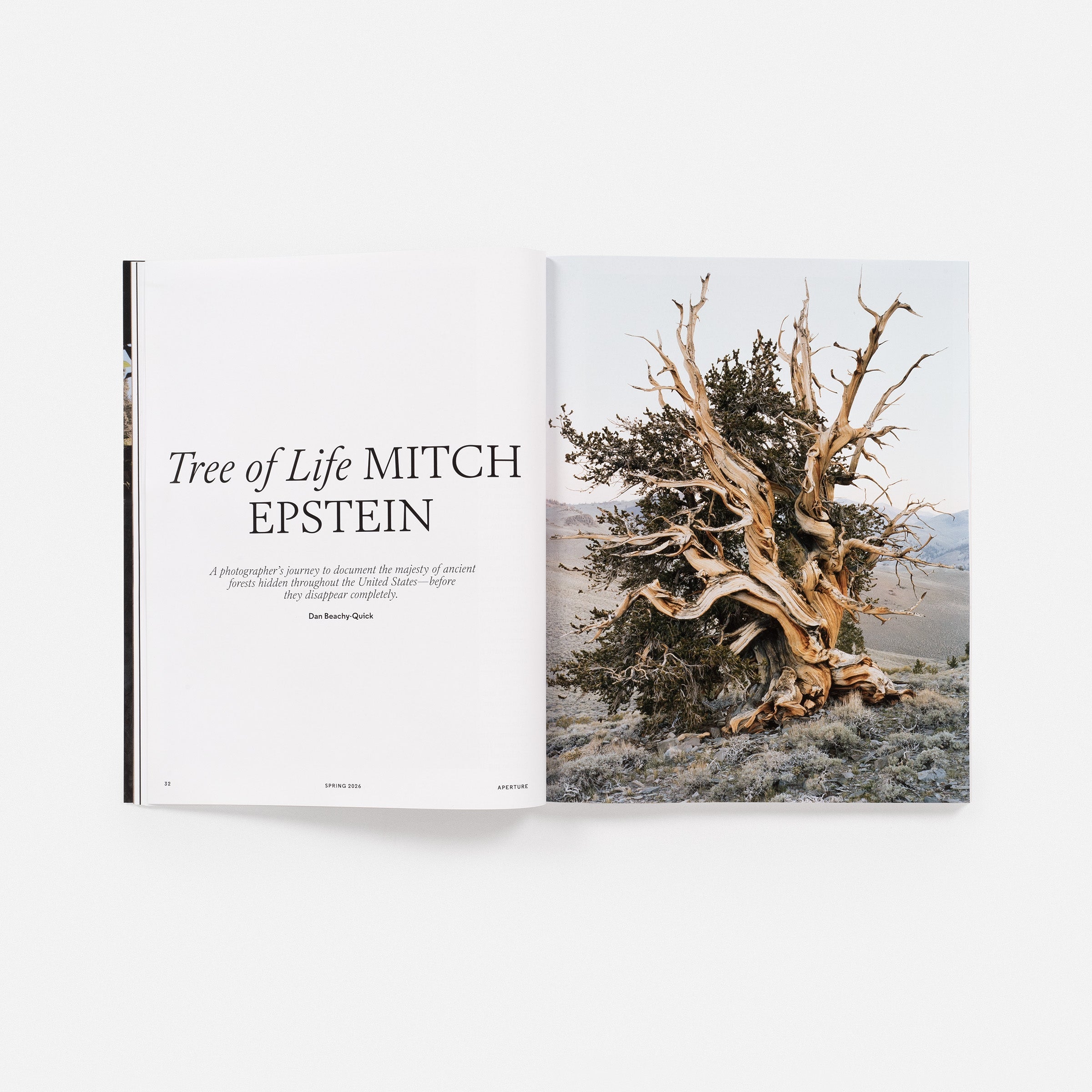 The End of Nature?: Aperture No. 262, Spring 2026