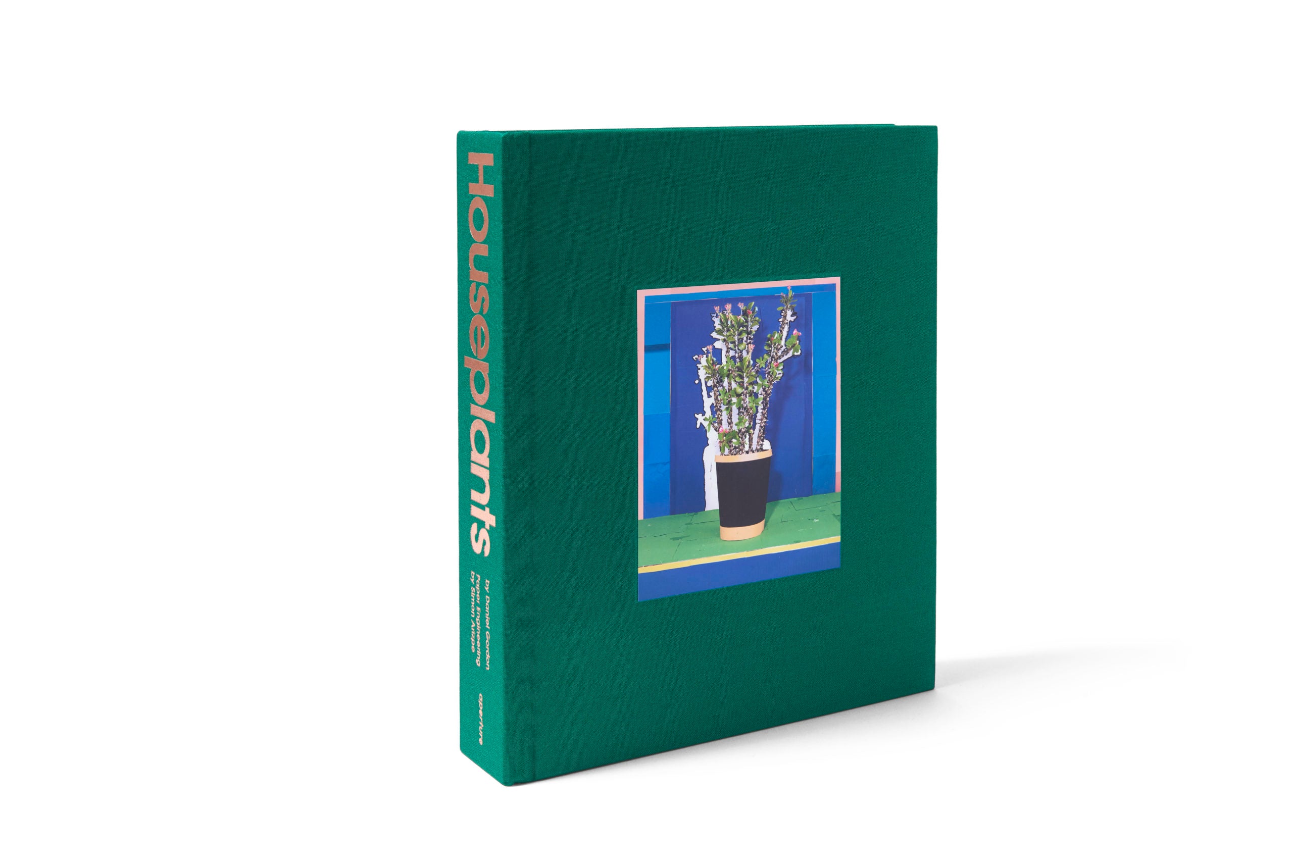 Daniel Gordon: Houseplants