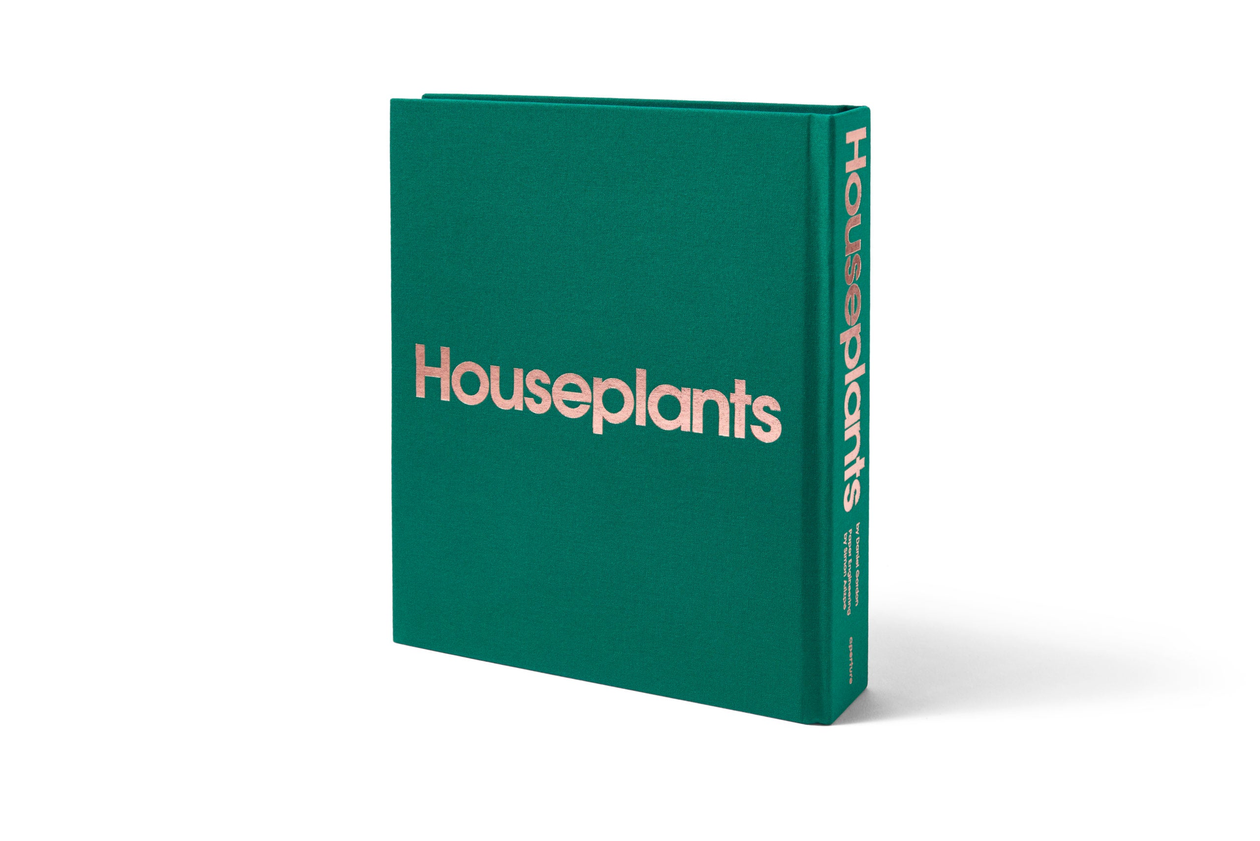 Daniel Gordon: Houseplants