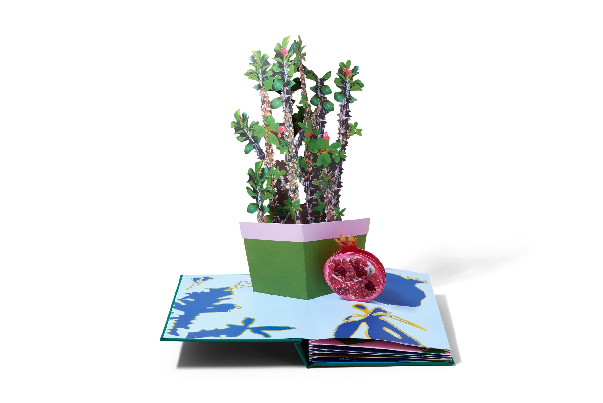 Daniel Gordon: Houseplants