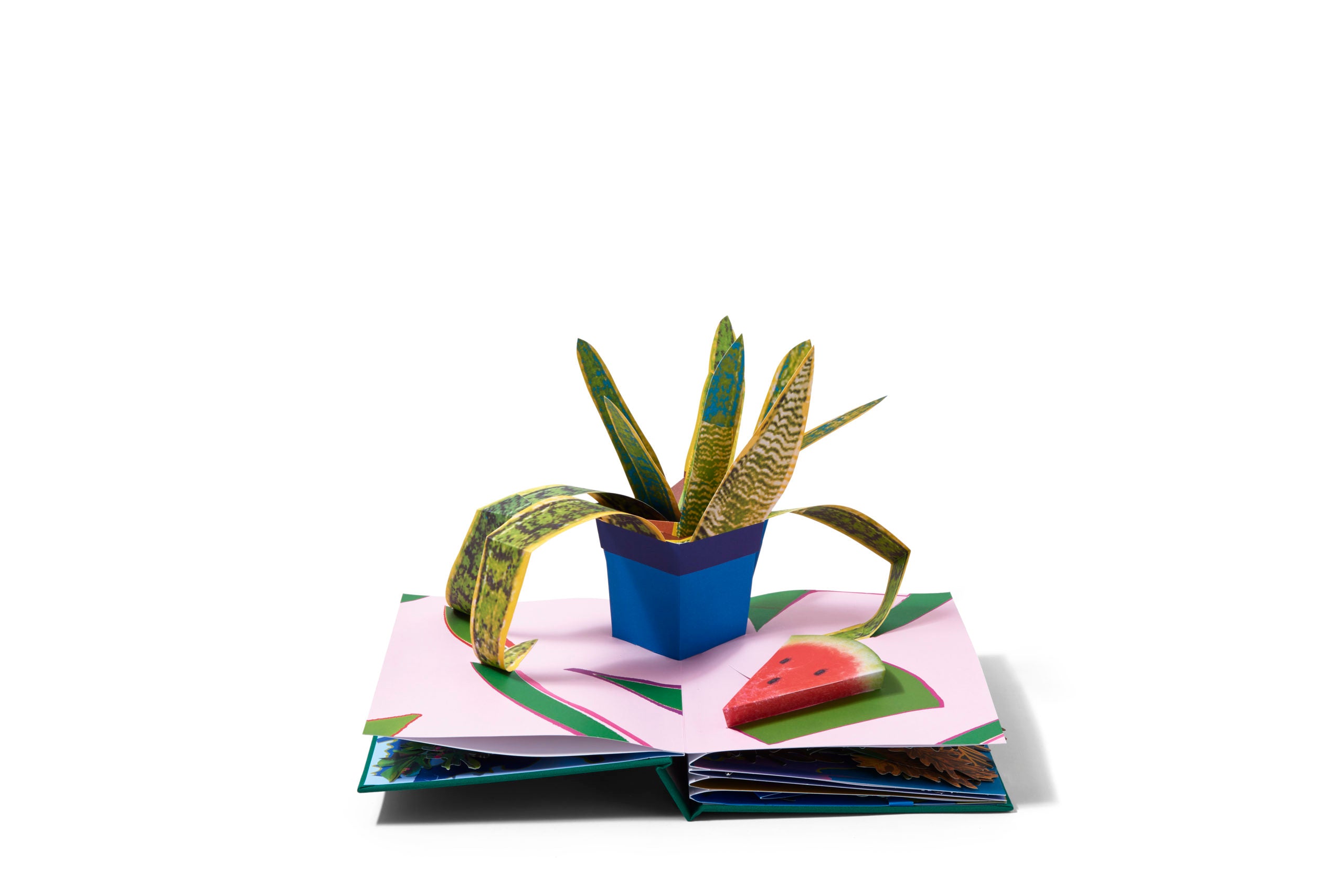 Daniel Gordon: Houseplants