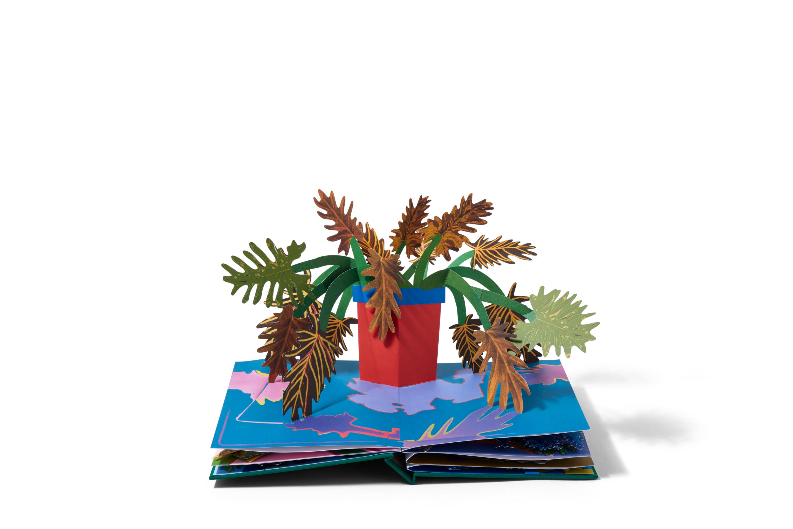 Daniel Gordon: Houseplants