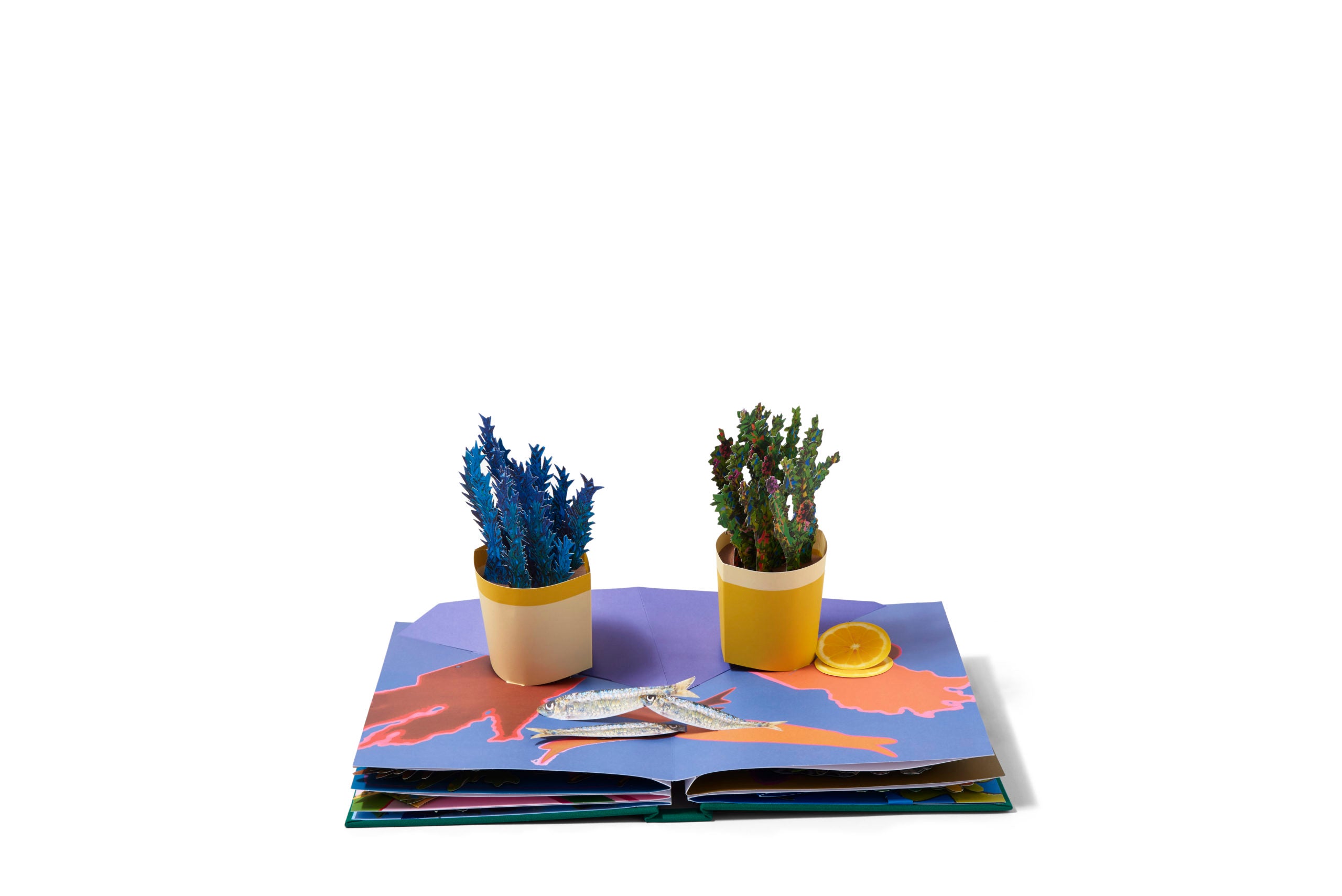 Daniel Gordon: Houseplants