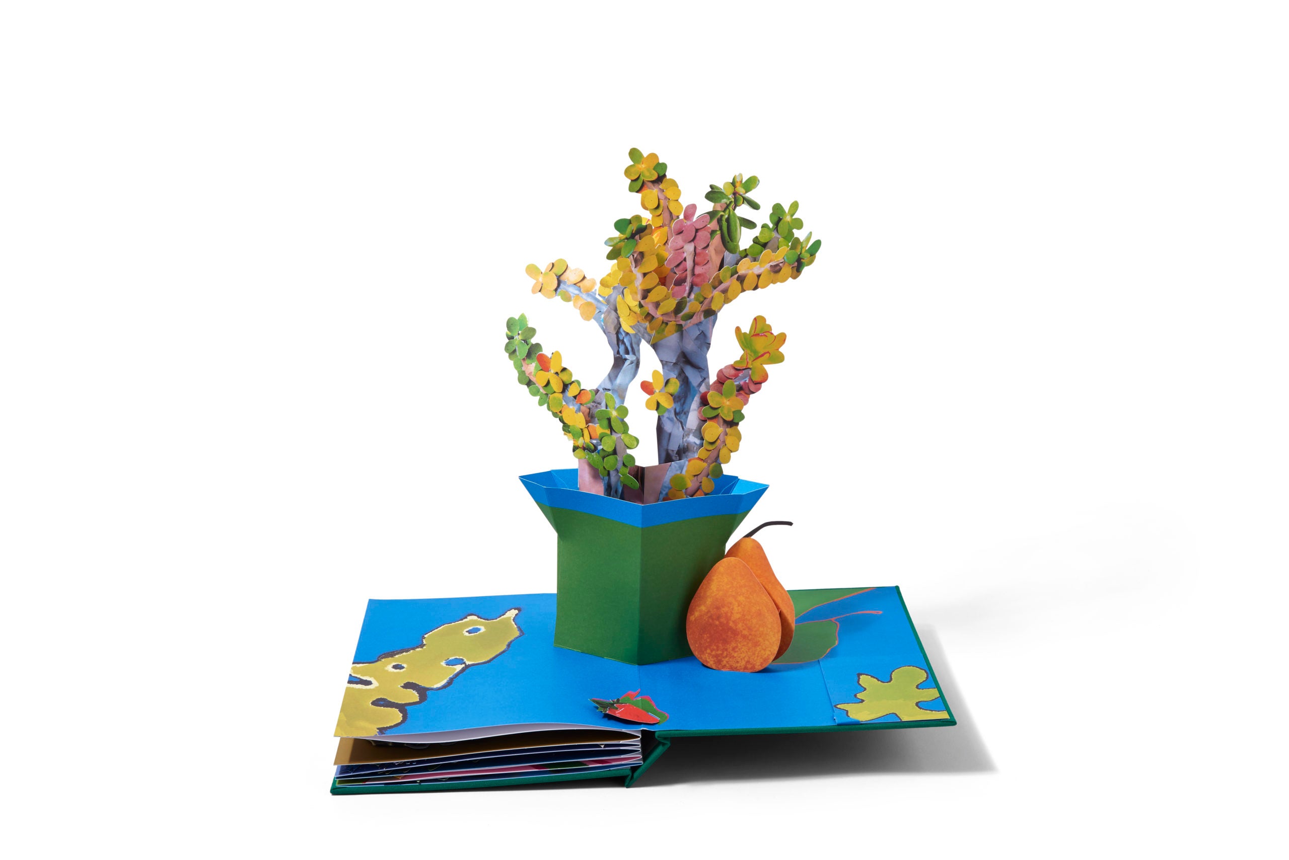 Daniel Gordon: Houseplants