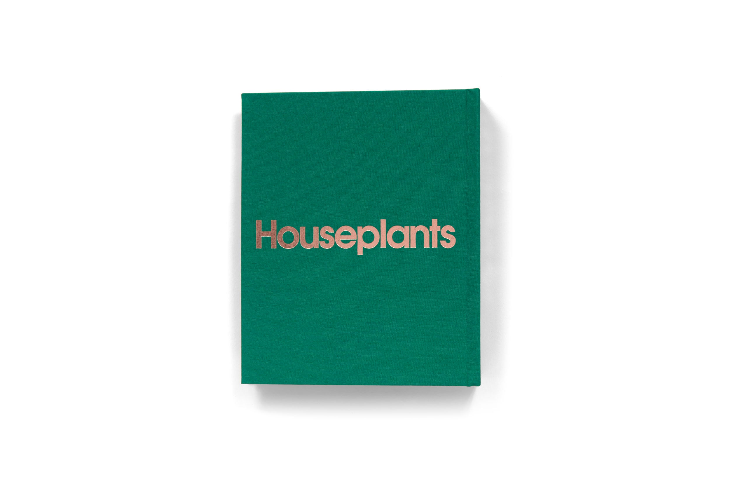 Daniel Gordon: Houseplants