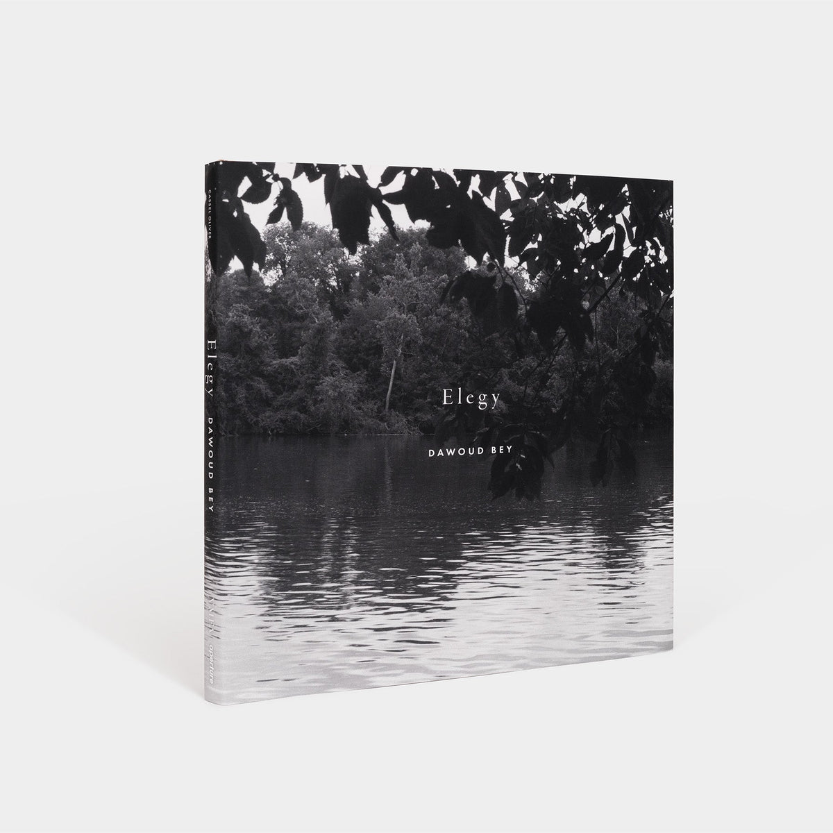 Dawoud Bey: Elegy (signed edition)
