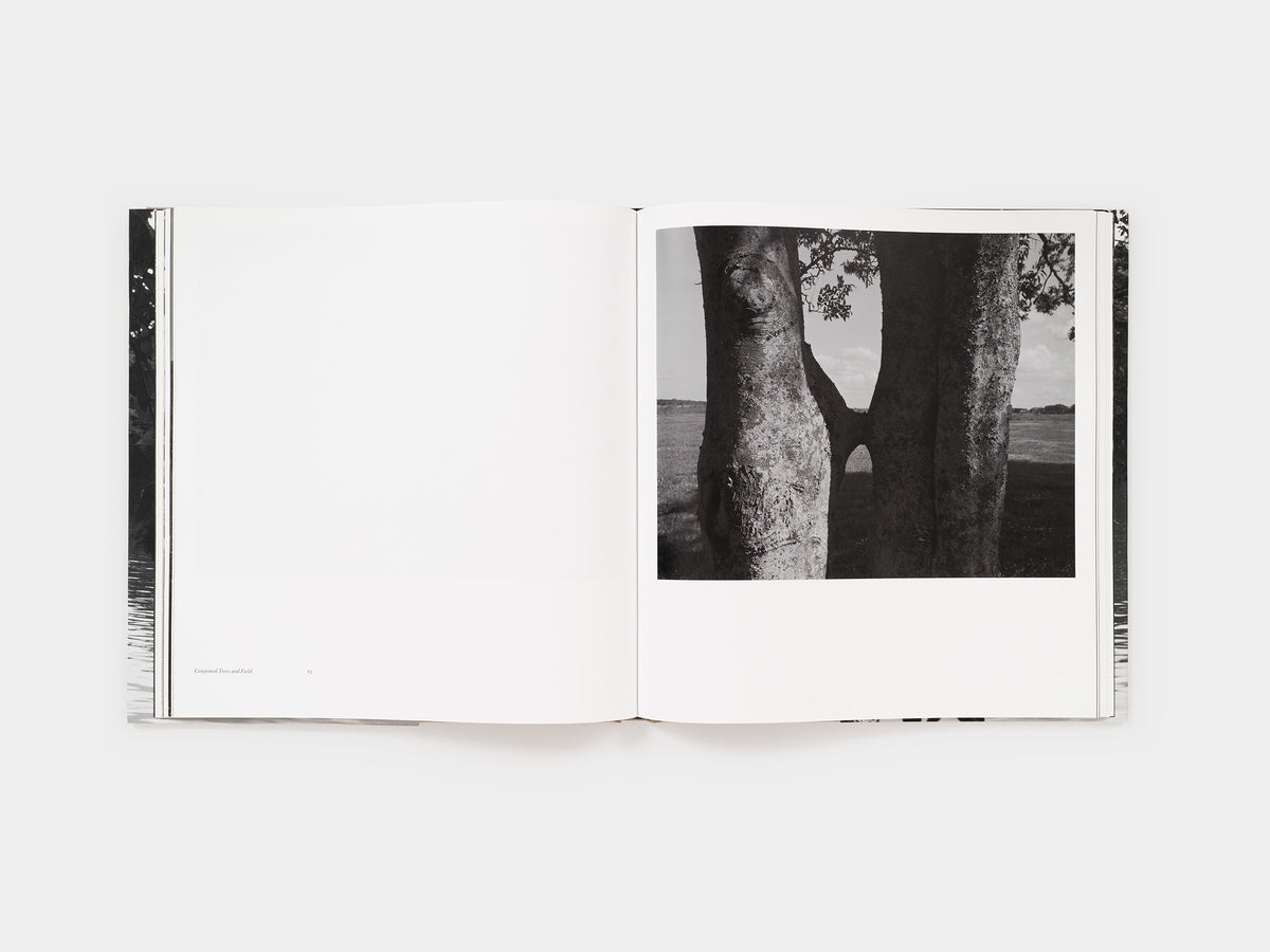 Dawoud Bey: Elegy (signed edition)